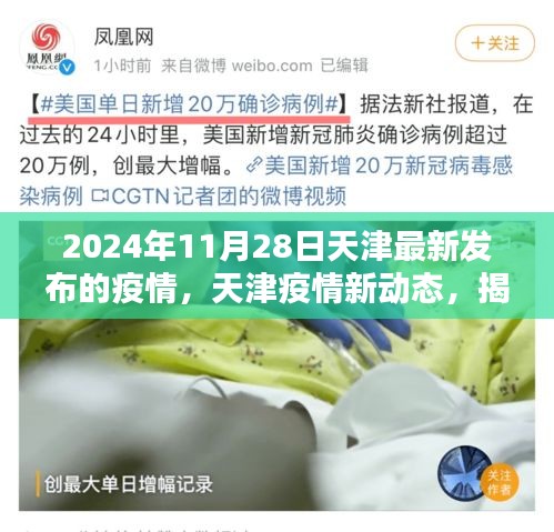 第2674页