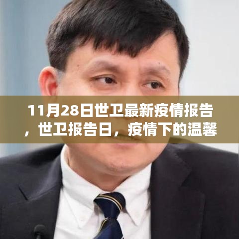网站案例 第453页