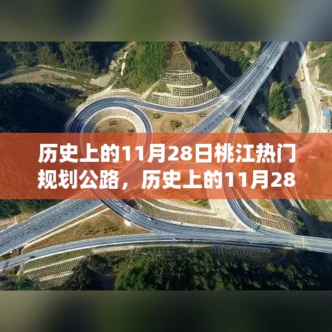 心得分享 第487页