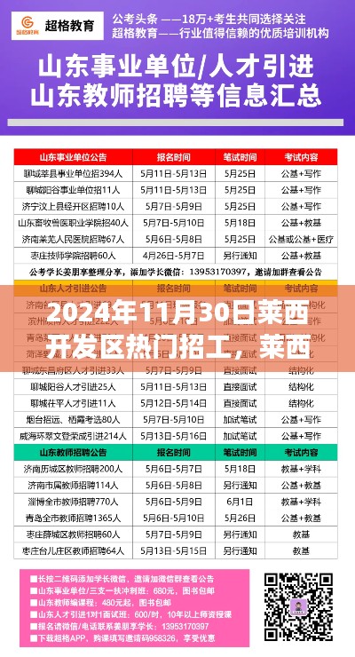 网站案例 第450页