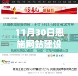 网站案例 第444页