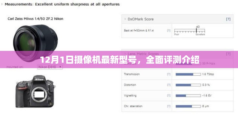 衣不兼彩 第5页