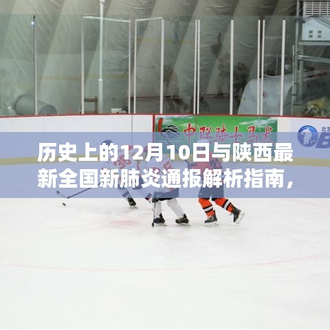 陕西新肺炎通报解析指南,历史视角与进阶参考,初学者必备知识解读标题