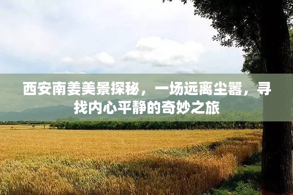 西安南姜美景探秘,追寻内心平静的奇妙之旅