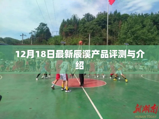 飞潜动植 第3页