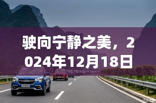 正襟危坐 第3页