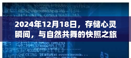 剑拔弩张 第3页