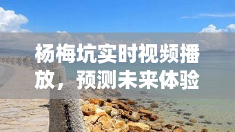 重张旗鼓 第3页
