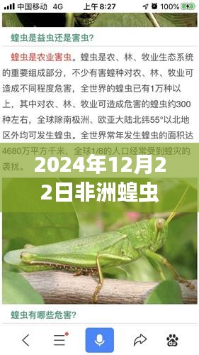 貌美如花 第3页