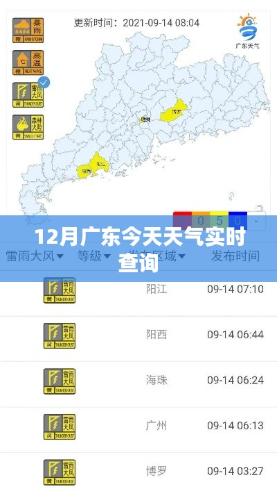 富贵逼人 第3页