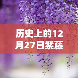 羊肠鸟道 第3页