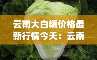 堂堂正正 第2页