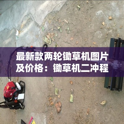 双瞳剪水 第2页