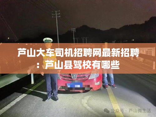 举步如飞 第3页
