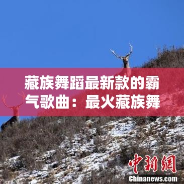 资料下载 第189页