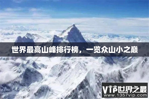 网站案例 第156页