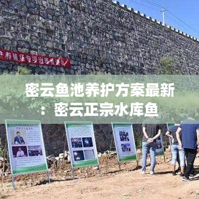 还醇返朴 第2页