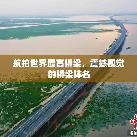 繁鸟萃棘 第2页