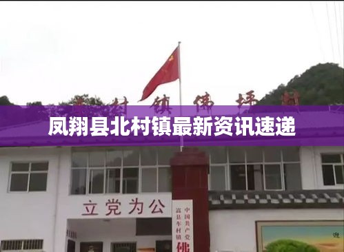 自作主张 第2页