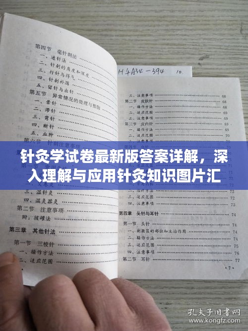 一枝独秀 第2页