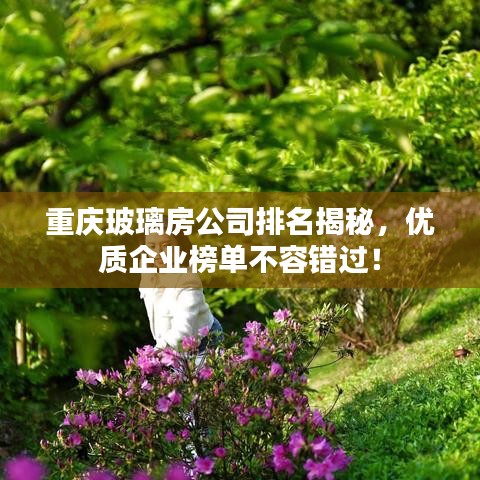 一丝不苟 第2页