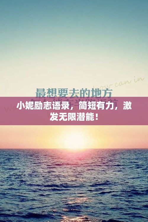 越鸟南栖 第2页