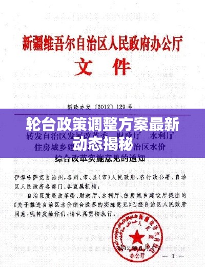 轮台政策调整方案最新动态揭秘