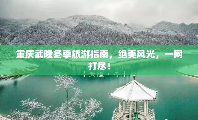 雅量高致 第2页