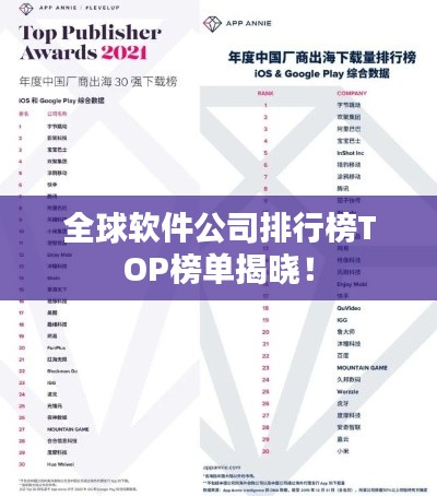 全球软件公司排行榜TOP榜单揭晓!