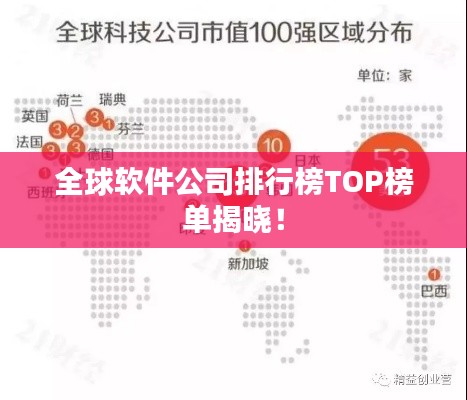 全球软件公司排行榜TOP榜单揭晓!