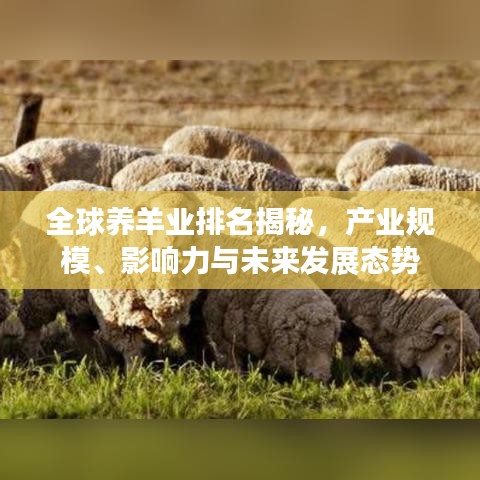 雍容华贵 第2页