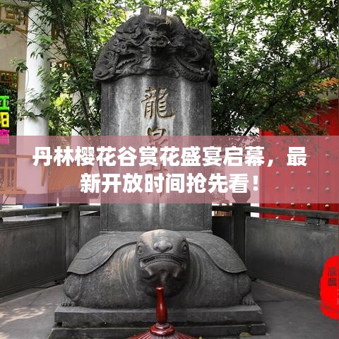 披沙拣金 第2页