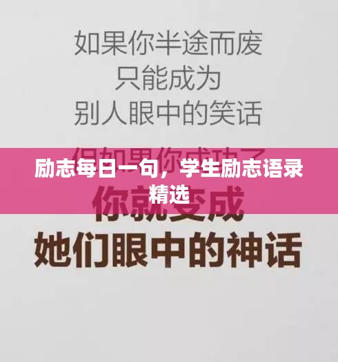 倦鸟思归 第2页