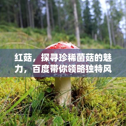 独一无二 第2页