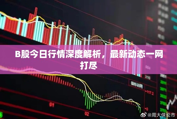 B股今日行情深度解析,最新动态一网打尽