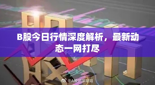 B股今日行情深度解析,最新动态一网打尽