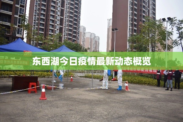 东西湖今日疫情最新动态概览