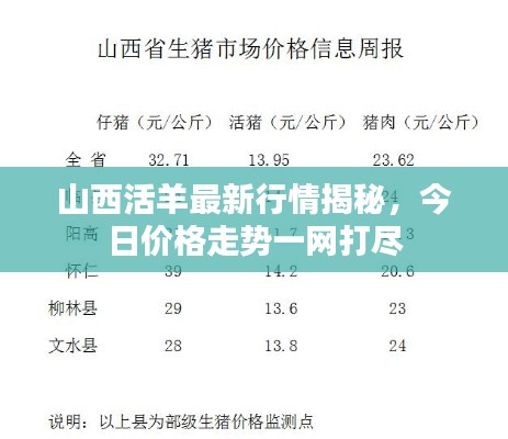 雍容典雅 第2页