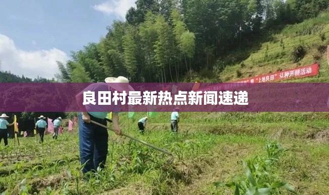 良田村最新热点新闻速递