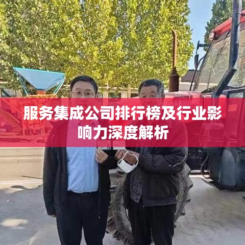 服务集成公司排行榜及行业影响力深度解析