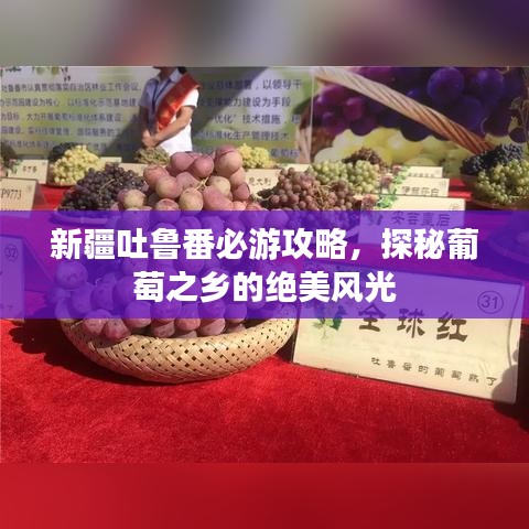 新疆吐鲁番必游攻略，探秘葡萄之乡的绝美风光