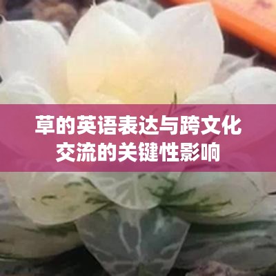 草的英语表达与跨文化交流的关键性影响