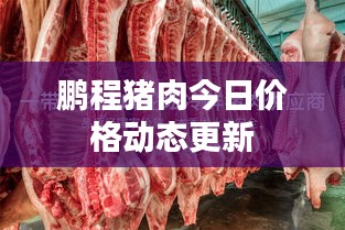 帮助中心 第19页