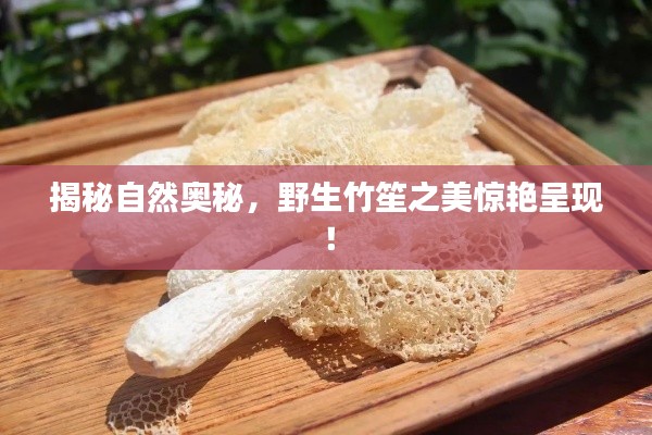 普度众生