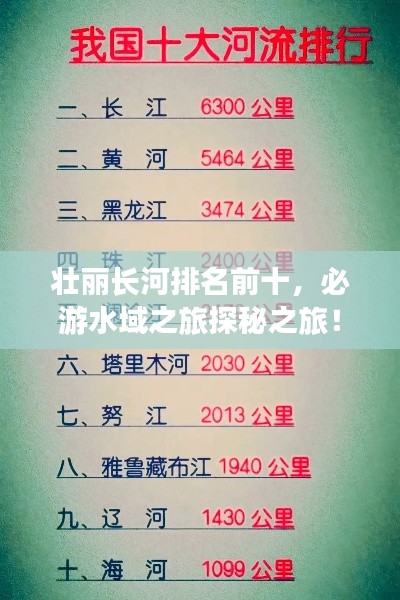 网站案例 第10页