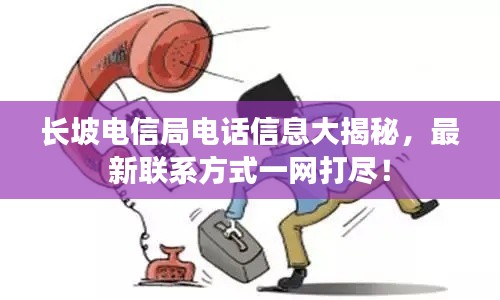 网站案例 第5页