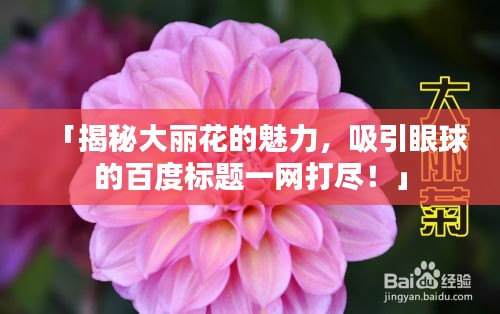 「揭秘大丽花的魅力，吸引眼球的百度标题一网打尽！」