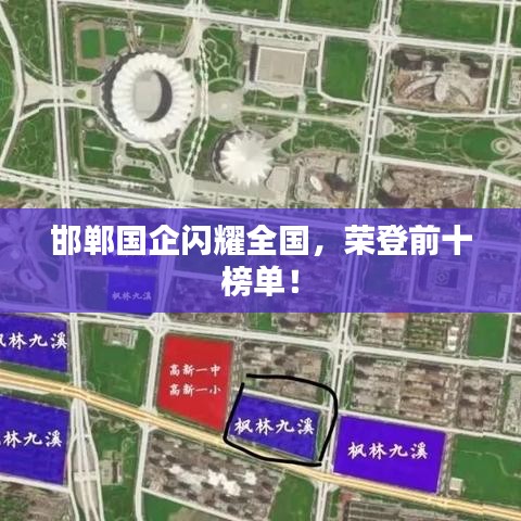 邯郸国企闪耀全国，荣登前十榜单！