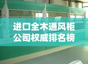 进口全木通风柜公司权威排名榜单揭晓！