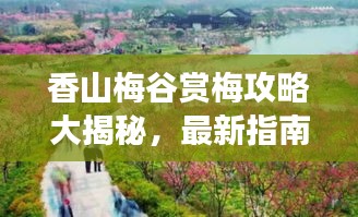 香山梅谷赏梅攻略大揭秘，最新指南带你畅游梅花世界